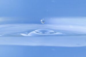 Preventive Maintenance: How to Keep Your Toilet Drain Clean