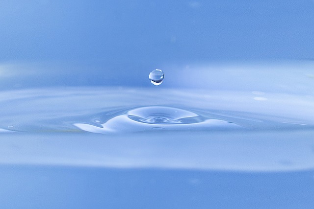 Preventive Maintenance: How to Keep Your Toilet Drain Clean